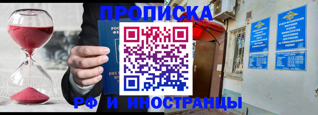 прописка 2025 в Палласовке