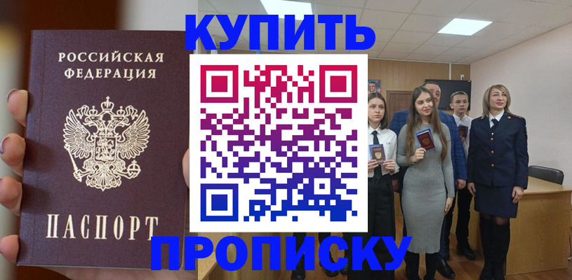 временная регистрация гарантия в Палласовке